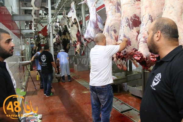 Jam3iya ada7ya (13).jpg